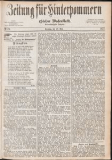 Zeitung für Hinterpommern (Stolper Wochenblatt) Nr. 79/1877