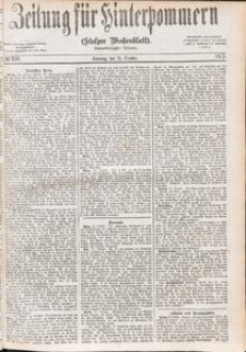 Zeitung für Hinterpommern (Stolper Wochenblatt) Nr. 166/1877