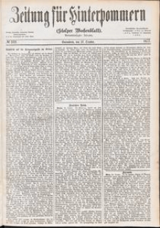 Zeitung für Hinterpommern (Stolper Wochenblatt) Nr. 169/1877