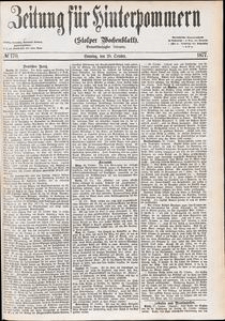 Zeitung f&uuml;r Hinterpommern (Stolper Wochenblatt) Nr. 170/1877