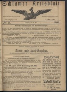 Kreisblatt des Schlawer Kreises 1882 No 36