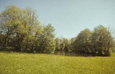 XIX-wieczny młyn wodny konstrukcji szkieletowej - Gdańsk-Wrzeszcz