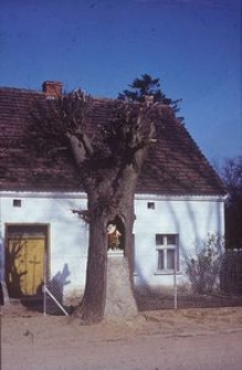 Kapliczka w pniu drzewa - Nadole