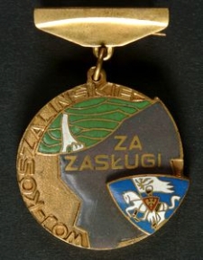 Odznaka Honorowa za Zasługi w Rozwoju Województwa Koszalińskiego + Legitymacja Nr 0111