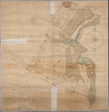 Plan von den s&auml;mtl. Pertinentzien so zur Neuen M&uuml;hle bei Stolpe belegen sind welche der M&uuml;hlen-Meister Grabow auf Erb-Pacht besitzet