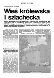 Wieś kr&oacute;lewska i szlachecka