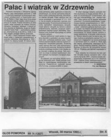 Palace and windmill in Zdrzewno