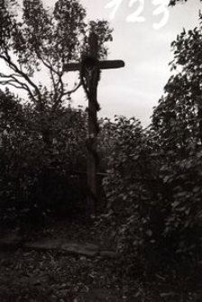 Krzyż z rzeźbą Chrystusa - Pog&oacute;dki [2]