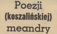 Poezji (koszalińskiej) meandry