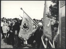 Uroczystości przy Krzyżu - G&oacute;ra Pieszczaty, Bożyszkowy (2)