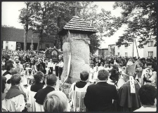 Odsłonięcie pomnika "Kaszubi pod Wiedniem" - Brzeźno Szlacheckie (1)