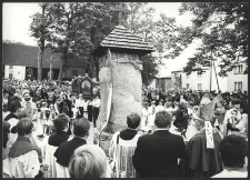 Odsłonięcie pomnika "Kaszubi pod Wiedniem" - Brzeźno Szlacheckie (1)