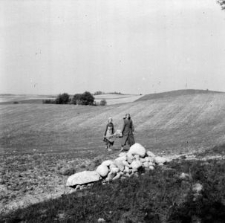 Kobiety przy zbieraniu kamieni z pola