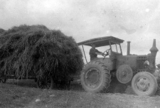 Zwózka siana w gospodarstwie rolnym w Malęcinie