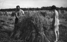 Zygmunt Grochulski with his daughter while putting up oat sheaves