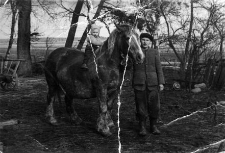 Bolesław Dębek (1919-1994) z synem Stanisławem (ur. 1955 r.) prowadzi konia otrzymanego w ramach akcji UNRRA (z ang. United Nations Relief and Rehabilitation Administration – Administracja Narodów Zjednoczonych do Spraw Pomocy i Odbudowy)