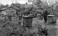 Pasieka w gospodarstwie Jana Pacuchy