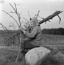 Katarzyna Maniakowa przy zbieraniu opału