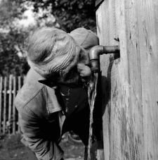 Stanislaw Zelazny, a shepherd at the state farm, quenches his thirst