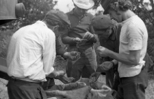 Grain quality assessment on the farm of Henryk Cekała