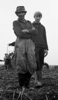 Wykopki w gospodarstwie Henryka Cekały (1)