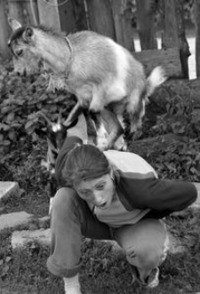 Hodowla k&oacute;z. Na zdjęciu Agnieszka Maziejuk