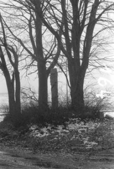 Kapliczka na słupie kamiennym - Łosienice [3]