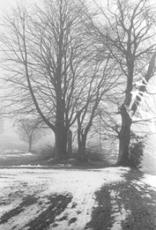 Kapliczka na słupie kamiennym - Łosienice [4]