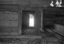 Chata zrębowa w budowie - Lipuska Huta [7]