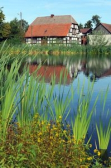 Budynek mieszkalny wraz z zabudowaniami gospodarczymi w Bruskowie Wielkim (2)