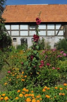 Budynek gospodarczy w Swołowie (7)