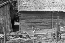 Stodoła - Szablewo [11]