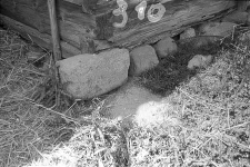 Stodoła - Szablewo [15]