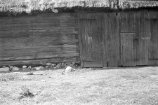 Stodoła - Szablewo [17]