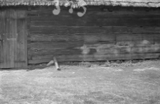 Stodoła - Szablewo [18]