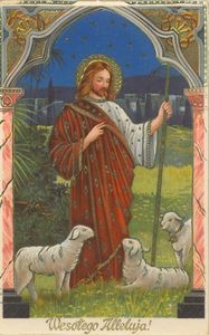 Gdańsk i Kaszubi w XX-leciu międzywojennym (119)