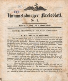 Kreisblatt des K&ouml;niglichen Landraths-Amtes zu Rummelsburg f&uuml;r das Jahr 1845
