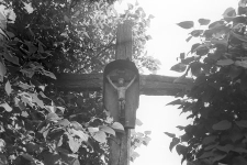 Figura na krzyżu w zagrodzie Kazimierza Gdańca - Pogódki