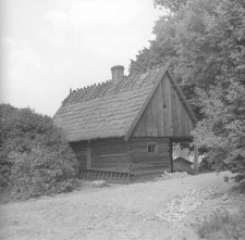 Chata rybaka (w starej części skansenu) - Wdzydze