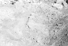 Zarys planu fundament&oacute;w - Pog&oacute;dki