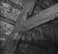 Dworek zrębowy i szkieletowy - Nowy Barkoczyn