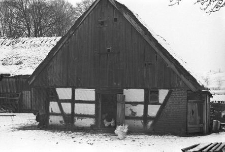 Chlew szkieletowy - Staniszewo [1]