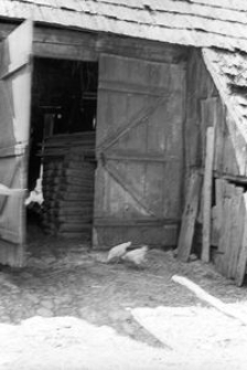 Stodoła szkieletowa - Zawory