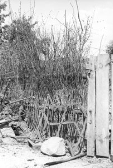 Płot pleciony w zagrodzie Bury - Szczodrowo