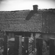 Posesja nr 31 - Gołubie