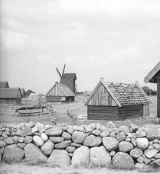 Chlewik zrębowy z G&oacute;rek - Wdzydze KPE