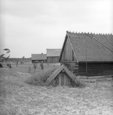 Piwnica "kula" w zagrodzie gburskiej z Nakli - Wdzydze KPE