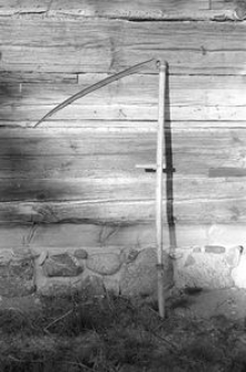 Kosa - Wielki Klincz