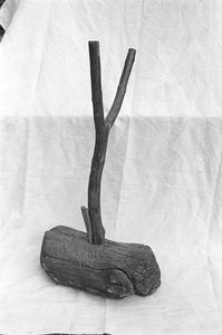 St&oacute;pka do sieni - [?]