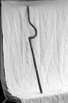 Laska sołecka "kleka" - Łubiana